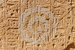Ancient egyptian hieroglyphs on the wall in Karnak Temple Complex in Luxor  Egypt