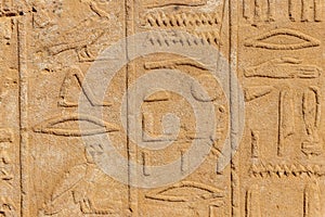 Ancient egyptian hieroglyphs on the wall in Karnak Temple Complex in Luxor, Egypt