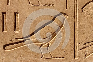 Ancient egyptian hieroglyphs on wall in Karnak Temple Complex in Luxor, Egypt