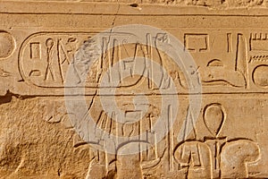 Ancient egyptian hieroglyphs on wall in Karnak Temple Complex in Luxor, Egypt