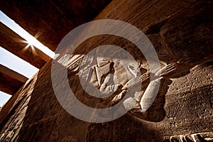 Ancient Egyptian hyeroglyphs background in sunset light at Aswan Temple Philae in Egypt