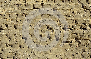 Ancient Egyptian mudbrick wall
