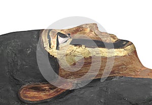 Starobylý egypťan múmie 