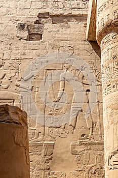 Ancient Egyptian murals and writings on the stone walls of the Karnak Temple in Luxor