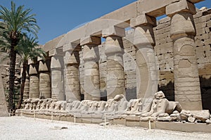 Ancient Egyptian Pillars