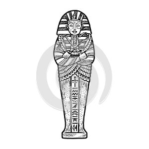 Ancient Egyptian Sarcophagus sketch vector photo