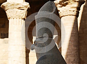 Ancient egyptian statue of falcon god Horus at the Temple of Edfu. Nubia, Egypt
