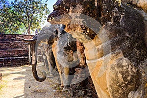 Ancient Elephant Statue in Kamphaeng Phet Historical Park