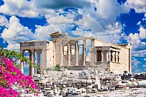 Ancient Erechtheion or Erechtheum temple with Caryatid Porch and pink Bougainvillea flower on the Acropolis, Athens, Greece. World