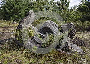 Ancient erratic rocks on glacial bedrock in Torrance Barrens Muskoka