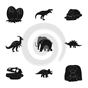 Ancient extinct animals and their tracks and remains. Dinosaurs, tyrannosaurs, pnictosaurs.Dinisaurs and prehistorical