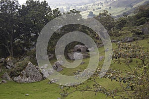 Ancient extrange monoliths in middle of colombian countryside photo