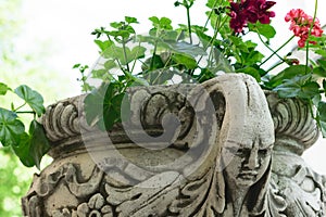 Ancient flower pot holder made from brute stone. very old sculpture with scarry face - gothic style photo