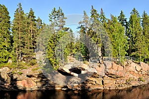Ancient forest in Imatra, Finland