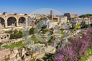 Ancient Forum Titus Arch Roman Colosseum Rome Italy