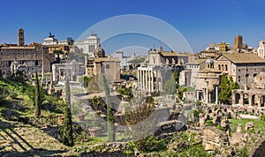 Ancient Forum Vesta Temple Regia Capitoline Hill Rome Italy