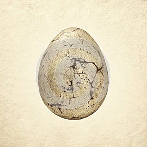 Ancient fossil stone egg with cracks