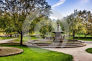 ancient fountain in a beautiful evening garden, Ai generated