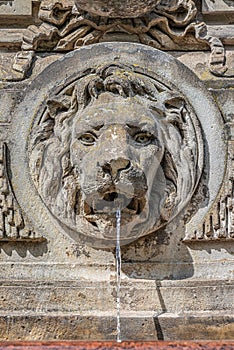 Ancient fountain with a lion head and cold clean water, Magdeburg, Germany