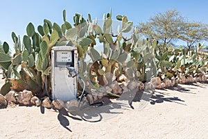 Ancient fuel pump in Namibia desert with cactus