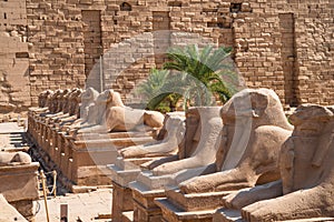 Ancient giant statues of Egypt