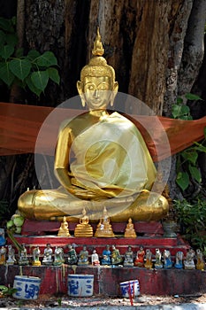 Ancient Golden Buddha