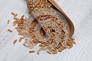 Ancient grain kamut, Khorasan wheat