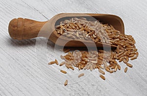 Antico grano grano 