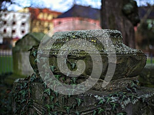 Ancient gravestone overgrown by ivy - a landmark in a public park in Germany