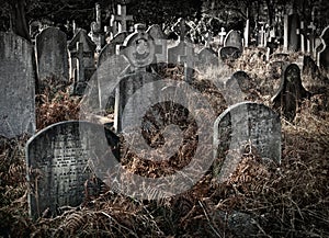 Ancient graveyard with many headstones with muted colors