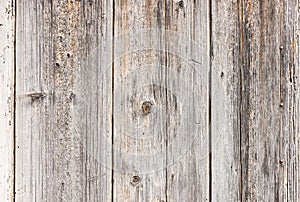 Ancient gray wood wall background texture, close-up