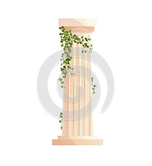 Ancient Greek column with ivy climbing branches. Roman pillar. Building design elements and decoration. Cartoon vector