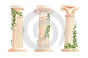 Ancient Greek column with ivy climbing branches. Roman pillar. Building design elements and decoration. Cartoon vector