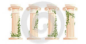 Ancient Greek column with ivy climbing branches. Roman pillar. Building design elements and decoration. Cartoon vector