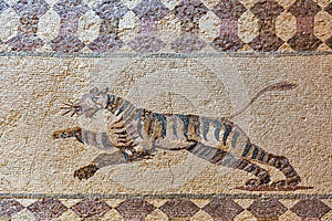 Ancient Greek floor mosaic in archaeologic park Kato Paphos, Cyprus. photo