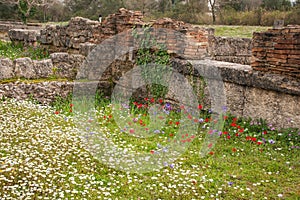 Ancient Greek ruins at the archaeological place of Ancient Olimpia