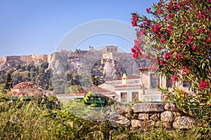 Ancient Greek ruins with flowers overlooking the Acropolis, Athens, Greece