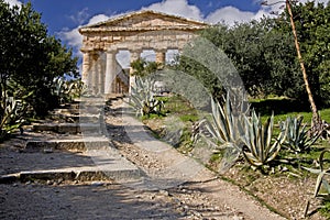 Ancient Greek Temple Ruins of Segesta