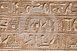 Ancient Hieroglyphic Script