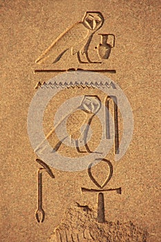 Ancient hieroglyphics on the walls of Karnak temple complex, Lux