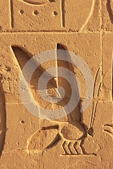 Ancient hieroglyphics on the walls of Karnak temple complex, Lux