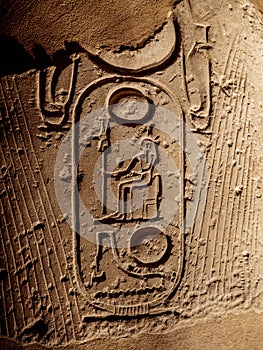 Ancient hieroglyphs depicting pharaohs name on a column at Luxor Temple in Egypt