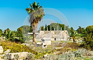 Ancient hippodrome in Tyre, Lebanon