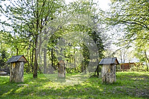Ancient hives in the middle of forest glade, made from trunk of