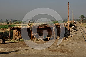 Ancient houses where people lived on the banks of the Nile in Egypt