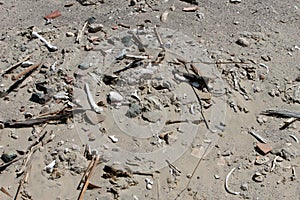 Ancient Human Bones in the Sand