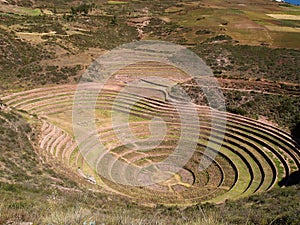 Ancient Inca circular terraces