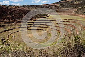 Ancient Inca circular terraces at Moray agricultural experiment