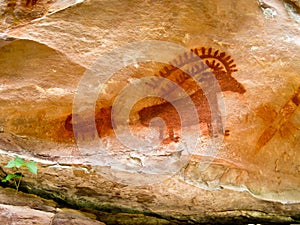 Ancient Indian Pictograph