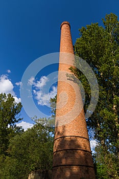 Ancient Industrial Chimney among trees
